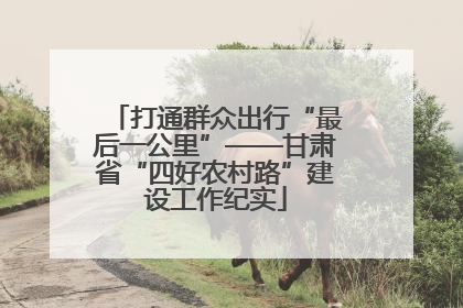 打通群众出行“最后一公里”——甘肃省“四好农村路”建设工作纪实