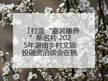 打造“避暑康养”新名片 2025年湖南乡村文旅投融资洽谈会在桃江举办