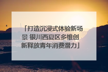 打造沉浸式体验新场景 银川西夏区多维创新释放青年消费潜力