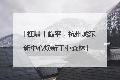 扛鼎丨临平：杭州城东新中心焕新工业森林