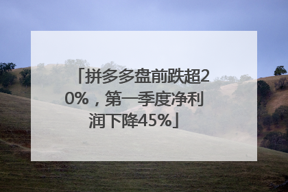 拼多多盘前跌超20%，第一季度净利润下降45%