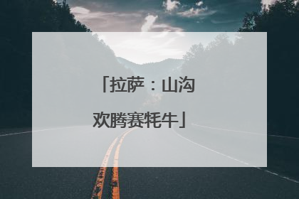 拉萨：山沟欢腾赛牦牛