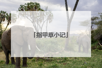 指甲草小记