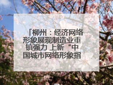 柳州：经济网络形象展现制造业重镇强力 上新“中国城市网络形象指数”报告