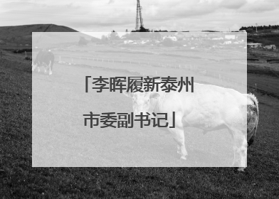 李晖履新泰州市委副书记