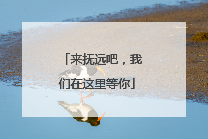来抚远吧，我们在这里等你