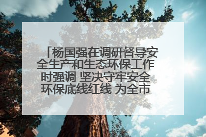 杨国强在调研督导安全生产和生态环保工作时强调 坚决守牢安全环保底线红线 为全市经济社会高质量发展提供坚强保障
