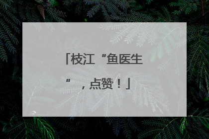 枝江“鱼医生”，点赞！