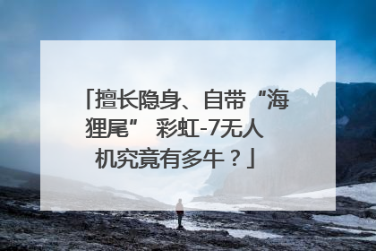 擅长隐身、自带“海狸尾” 彩虹-7无人机究竟有多牛？
