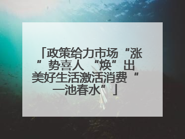 政策给力市场“涨”势喜人 “焕”出美好生活激活消费“一池春水”