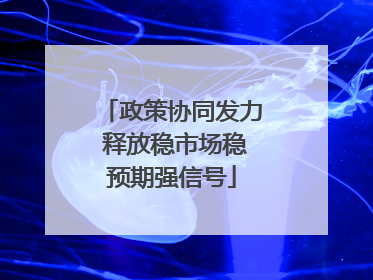 政策协同发力 释放稳市场稳预期强信号