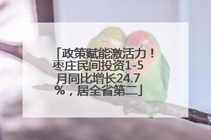 政策赋能激活力！枣庄民间投资1-5月同比增长24.7%，居全省第二