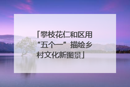 攀枝花仁和区用“五个一”描绘乡村文化新图景