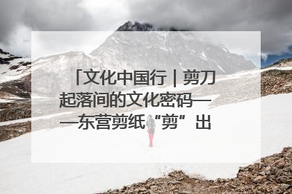 文化中国行｜剪刀起落间的文化密码——东营剪纸“剪”出非遗传承与现代生活的融合之道