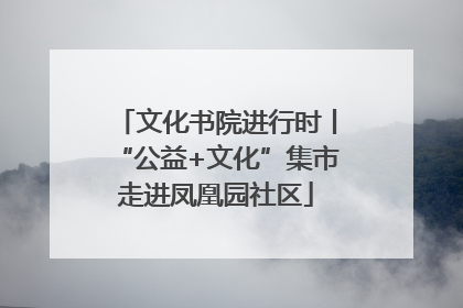 文化书院进行时丨“公益+文化”集市走进凤凰园社区