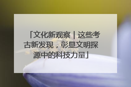 文化新观察｜这些考古新发现，彰显文明探源中的科技力量