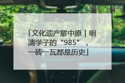 文化遗产耀中原｜明清学子的“985”，一砖一瓦都是历史