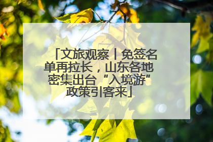 文旅观察丨免签名单再拉长，山东各地密集出台“入境游”政策引客来