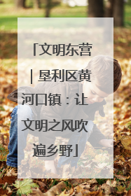 文明东营｜垦利区黄河口镇：让文明之风吹遍乡野