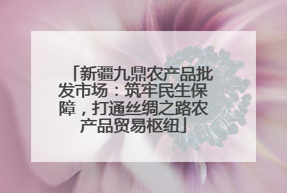 新疆九鼎农产品批发市场：筑牢民生保障，打通丝绸之路农产品贸易枢纽