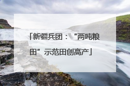 新疆兵团：“两吨粮田”示范田创高产