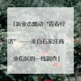 新业态燃动“青春经济”——来自石家庄商业街区的一线调查