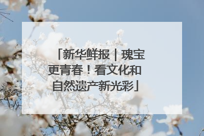 新华鲜报｜瑰宝更青春！看文化和自然遗产新光彩