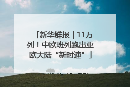 新华鲜报｜11万列！中欧班列跑出亚欧大陆“新时速”