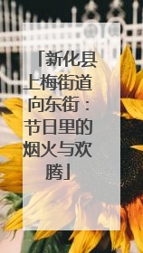 新化县上梅街道向东街：节日里的烟火与欢腾