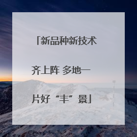 新品种新技术齐上阵 多地一片好“丰”景