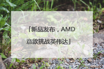 新品发布，AMD意欲挑战英伟达