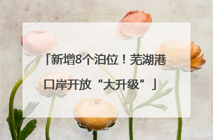 新增8个泊位！芜湖港口岸开放“大升级”