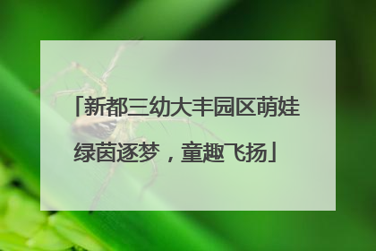 新都三幼大丰园区萌娃绿茵逐梦，童趣飞扬