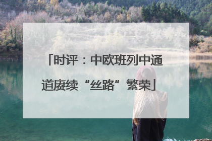 时评：中欧班列中通道赓续“丝路”繁荣