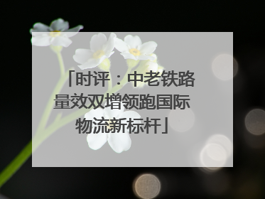 时评：中老铁路量效双增领跑国际物流新标杆
