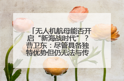 无人机航母能否开启“新海战时代”？曹卫东：尽管具备独特优势但仍无法与传统航母相提并论