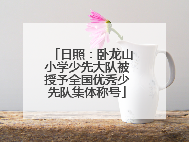日照：卧龙山小学少先大队被授予全国优秀少先队集体称号