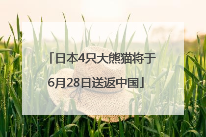 日本4只大熊猫将于6月28日送返中国