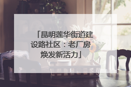 昆明莲华街道建设路社区：老厂房焕发新活力