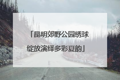 昆明郊野公园绣球绽放演绎多彩夏韵