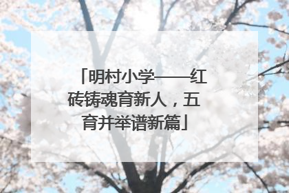 明村小学——红砖铸魂育新人，五育并举谱新篇