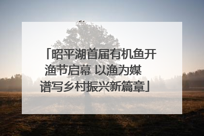 昭平湖首届有机鱼开渔节启幕 以渔为媒 谱写乡村振兴新篇章