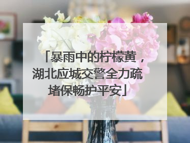 暴雨中的柠檬黄，湖北应城交警全力疏堵保畅护平安