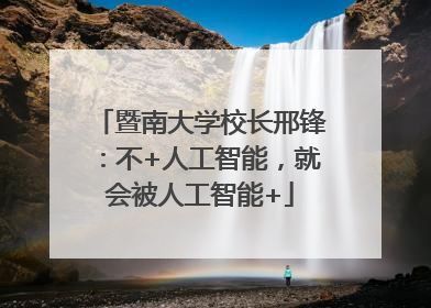 暨南大学校长邢锋：不+人工智能，就会被人工智能+