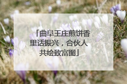 曲阜王庄煎饼香里话振兴，合伙人共绘致富图