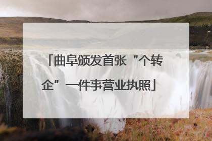 曲阜颁发首张“个转企”一件事营业执照