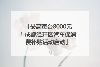 最高每台8000元！成都经开区汽车促消费补贴活动启动
