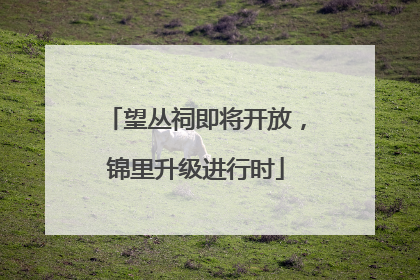 望丛祠即将开放，锦里升级进行时