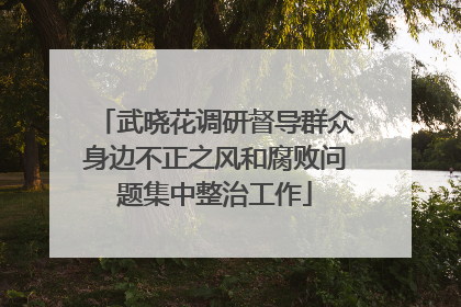 武晓花调研督导群众身边不正之风和腐败问题集中整治工作