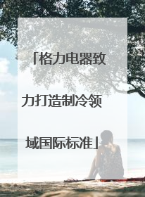 格力电器致力打造制冷领域国际标准
